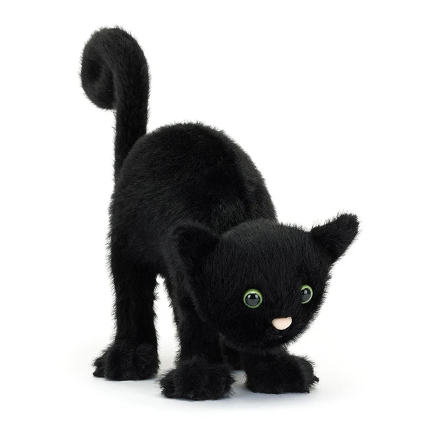 Spookipaws Cat